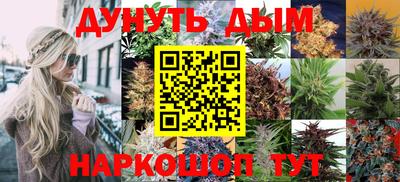 спиды Новодвинск