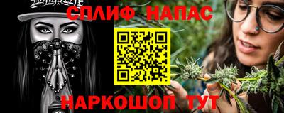 спиды Новодвинск