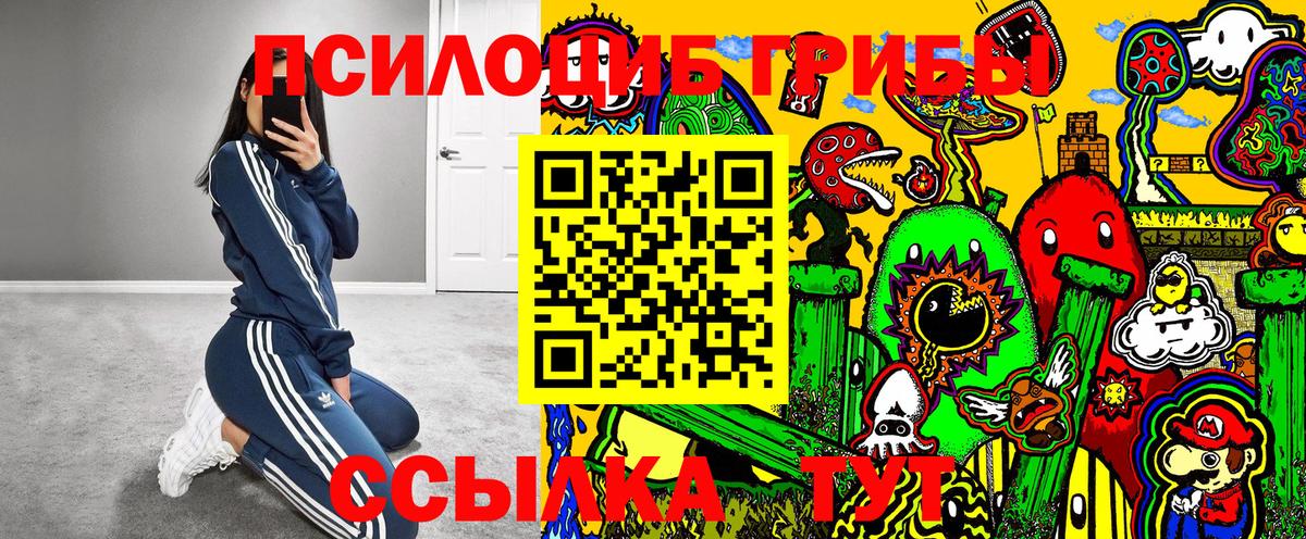 Тимашёвск  Псилоцибиновые грибы Cubensis  Вход с VPN 